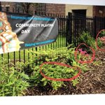 Photo by Neighbourly Gardening Projects (@NeighbourlyP)