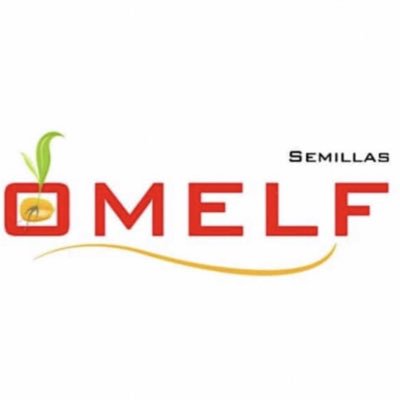 OMELF1's tweet photo. #NuevaFotoDePerfil https://t.co/QFNCHKY7o3