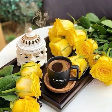 هـميلة 🌻 tweet media