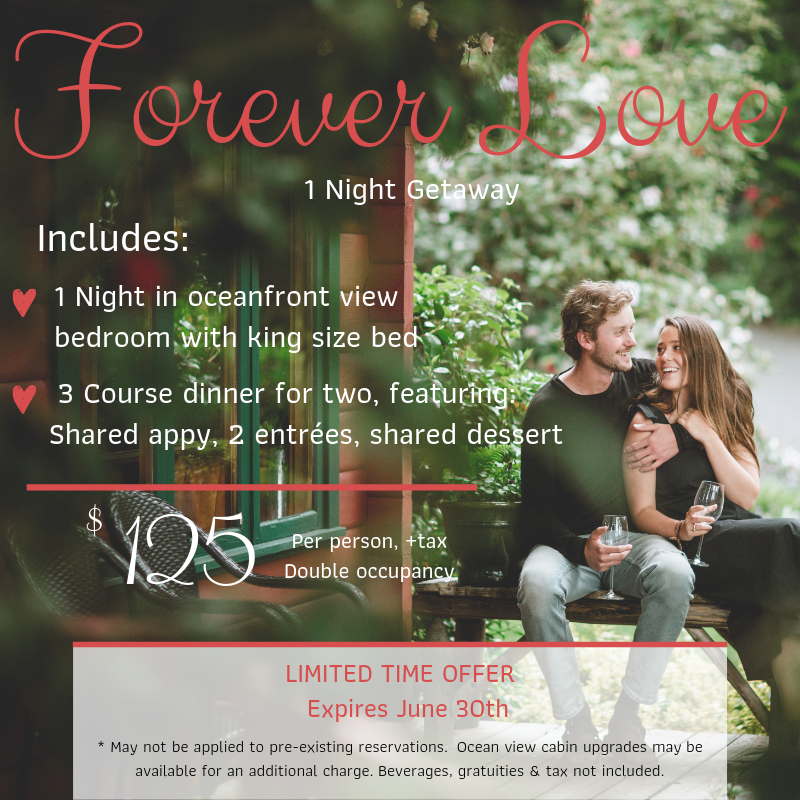 .
.
... Forever Love ...
.
.
.
Soak up the Serenity 
.
.
📞250-287-3066 - Book Now
📸 @bluetreephotography 
#discovercampbellriver #dolphinsresortbc #explorebc #getaway #vancouverislandbc #vanisle #love #deal #vacations #cabins #destinationcampbellriver #couple