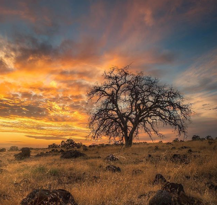 SupercutsChico's tweet photo. #UpperPark #sunsets--don't mind if we do. ๐
|Photo via promasterphoto on IG| #SupercutsChico #ChicoCA #BidwellPark https://t.co/stek7tT40G