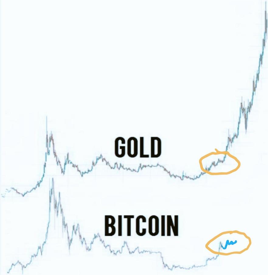 JuicyFruityyy's tweet photo. in case any of you had doubts about bitcoin, this is the bitcoin price graph next to the gold price graph.. 

I will buy and hold bitcoin/crypto probably for the rest of my life no matter if it goes down to $1500, or goes to $1,000,000..

end of year btc price? imma guess $20k https://t.co/7l1yhobZu0