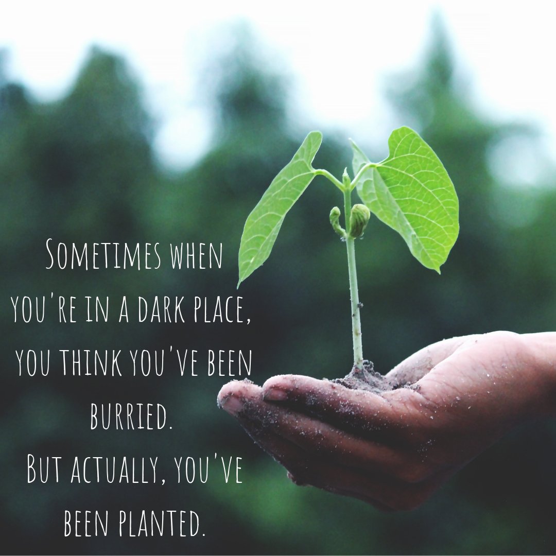 beherthroughHim's tweet photo. You've been planted 🌱 it may just take a moment to see the light 🙌🏻 https://t.co/050iYMkPpn