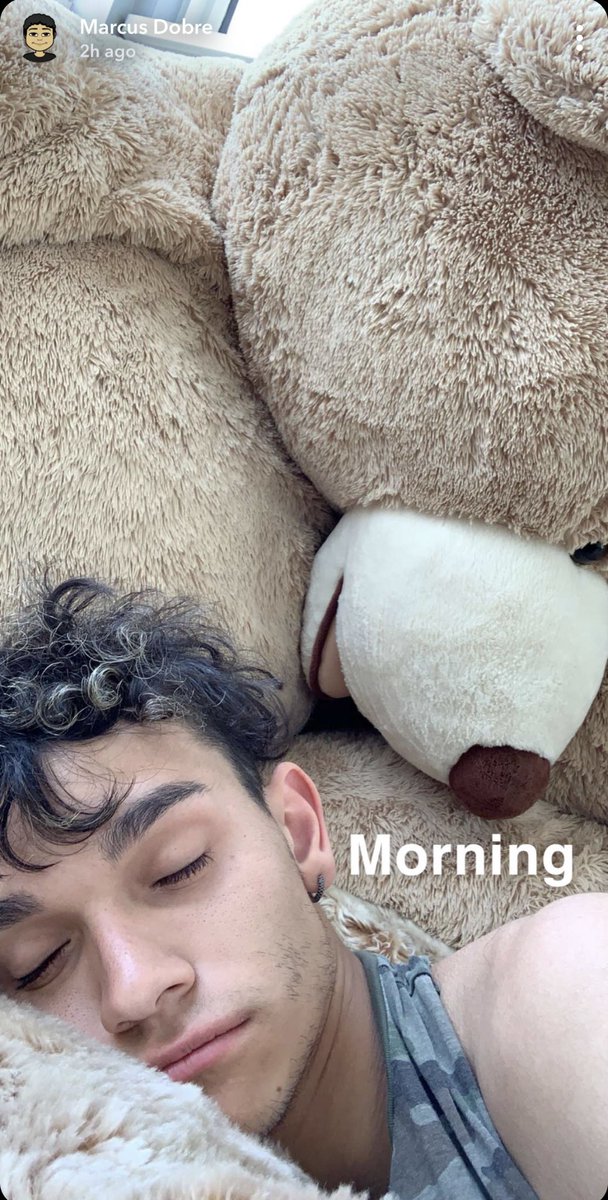 NatefanPR's tweet photo. What a cutie 🥰 https://t.co/u8O1fVTC3U