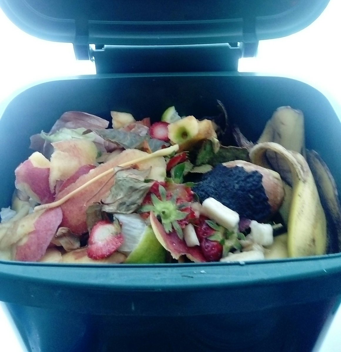 My first #compost deposit today. 1.8kg of kitchen waste after collecting for one week. Over 1 year this could be 94kg. If 100 people start doing this today by next year we could have reduced our #landfillwaste by nearly 10 Tons!