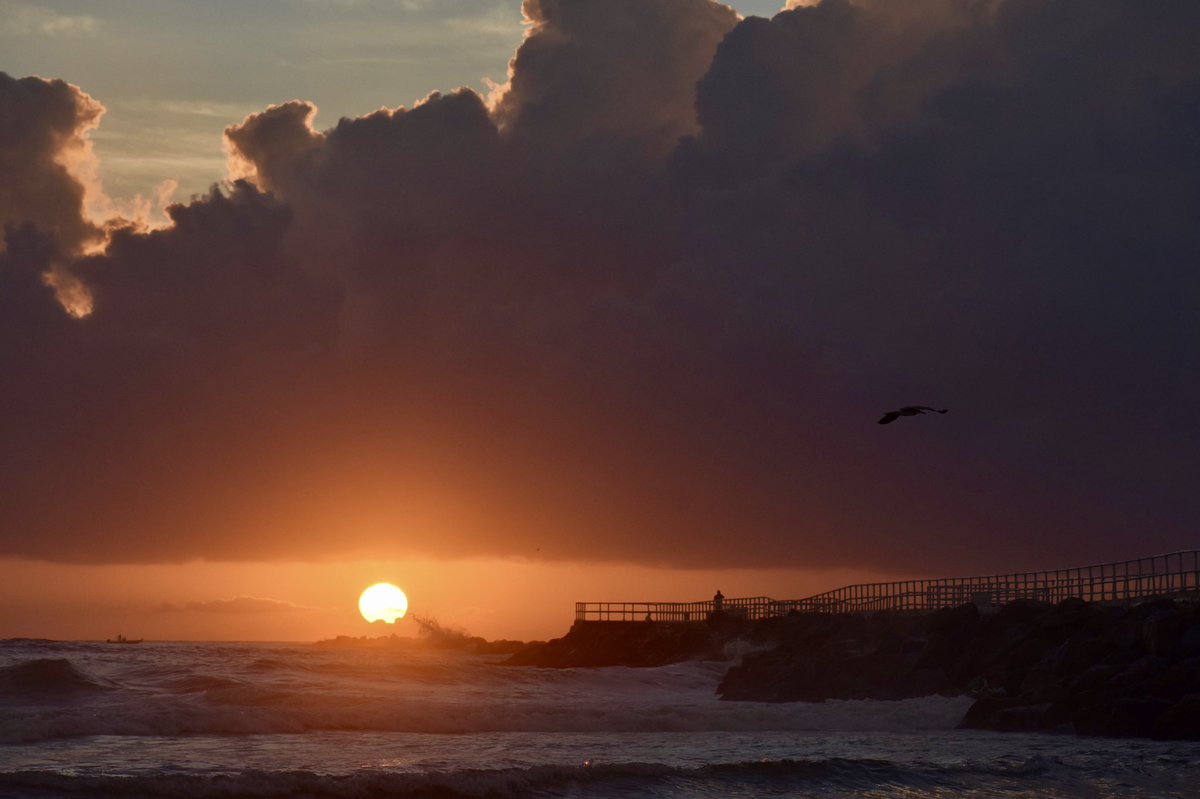 Compass Florida tweet media