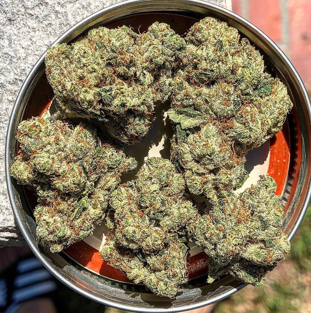 marijuanashop20's tweet photo. https://t.co/zw60ryRkCg
Dank π¨ #bestnugs #hightimes #cannabis #cannabiscommunity #bongbeauties #girlswhosmoke #dank #medical #strictlyloud #stayhigh #instaweed #kronic #topshelflife #topshelf #highlife #dabs #shatter #maryjane #goodweed #kush #dabsociety #wfayo https://t.co/rpf31w2MkE