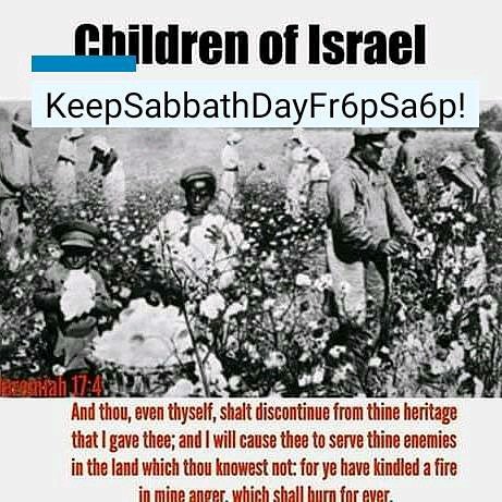 TrinityCircle's tweet photo. #HalleluYah #NoReparationsNoVote #USTOO
#TheRevAl
#DonnaShalala
#RepDMP
#DWStweets
#DNC #GOP
#JoeBiden
#CoryBooker
#KamalaHarris
#SpeakerPelosi
#SenSchumer
#OfficialCBC
#SenSanders
#SenWarren
#SenRickScott #MarcoRubio https://t.co/56Hukrw9fW