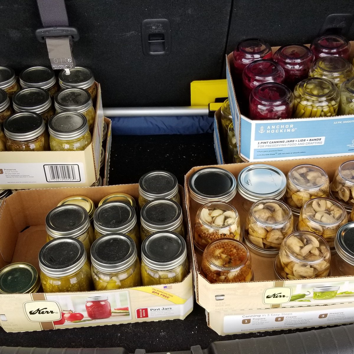 hellgaskitchen's tweet photo. Just under 7 flats of pickled goodness! #hellgaskitchen https://t.co/VgBi3FtnYz