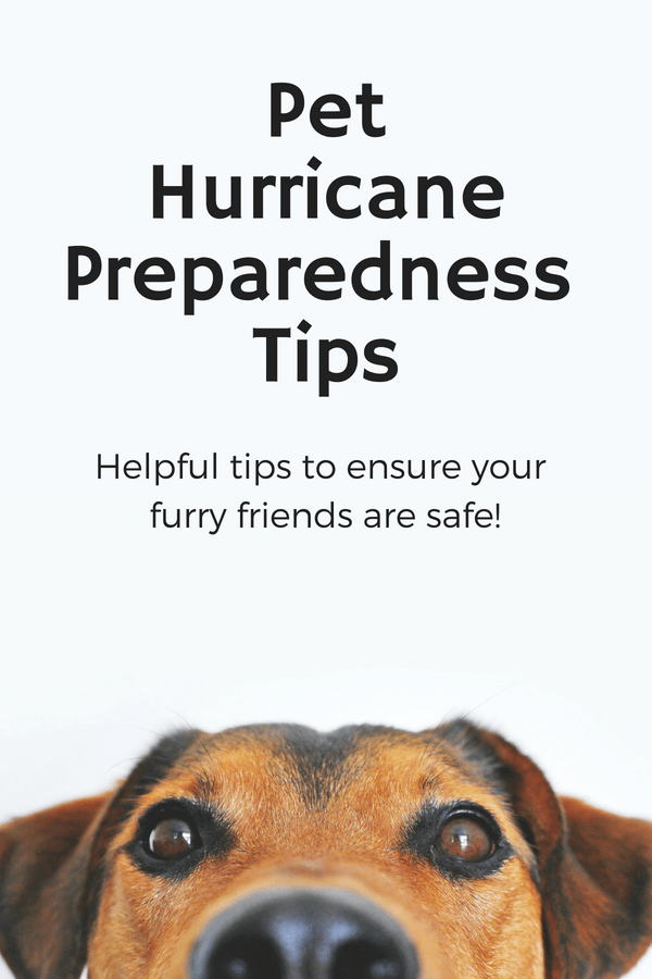 June 1st marks the start of Hurricane Season. Be prepared.  

Check out our updated 2019 Hurricane  Preparation and Response for Pet Parents 
ow.ly/WHPt50uE6qD