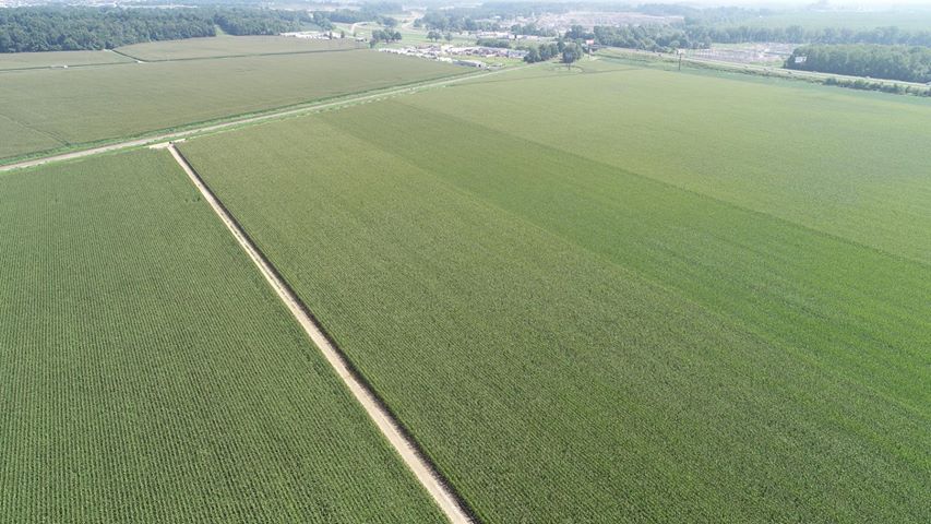 kfvsnews's tweet photo. Wow! Check out these photos from Mark Burger. This is a field for the Burger Planting Company off the Dutchtown Exit almost a year apart. https://t.co/gdef9OfjVq https://t.co/AhsBR4o78h