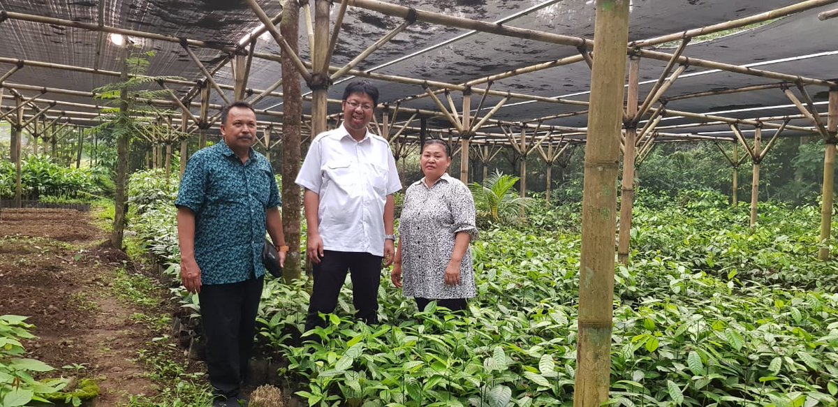 Hendrasipayung's tweet photo. Mengunjungi pembibitan Pala Bogor di kawan Tanjung Sari, Bogor, Jabar. https://t.co/f5iz1Ok5XF