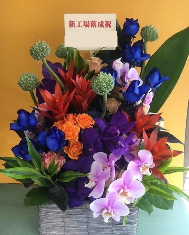 Kanoche 新工場落成のお祝いにお花をお届けしました 落成 カノシェ ロイヤルブルー 花の贈り物 花屋 フラワーギフト スタンド花 スタンドフラワー フラスタ フラワーアレンジメント 花束 胡蝶蘭 フローリストカノシェ いいねした人全員 Kanoche 新工場落成のお祝いにお花をお届けしました 落成 カノシェ ロイヤルブルー 花の贈り物 花屋 フラワーギフト スタンド花 スタンドフラワー フラスタ フラワーアレンジメント 花束 胡蝶蘭 フローリストカノシェ いいねした人全員