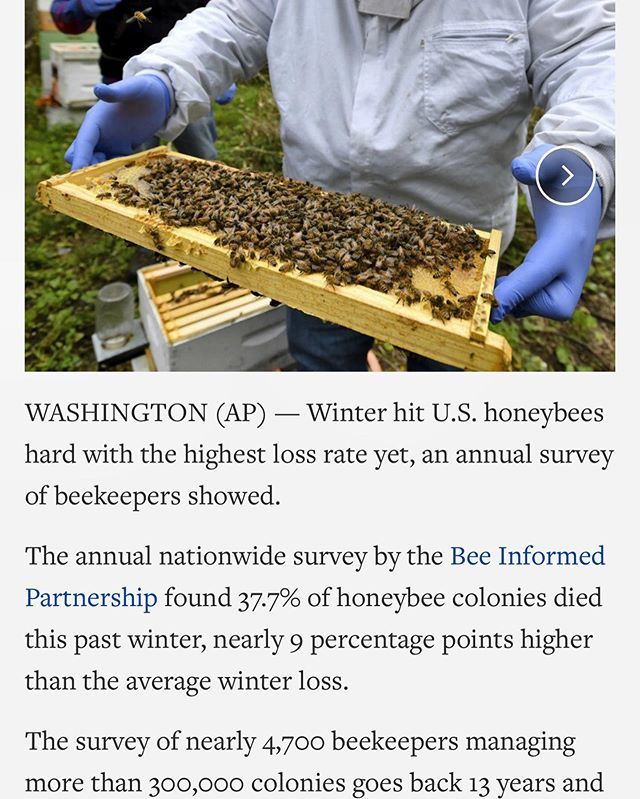 beepublic's tweet photo. Feel like you’re not seeing many bees around this year? Here’s a little glimpse into why. It’s easy for commercial beekeepers to track their bees but we can be sure native pollinators are having a tough time, too. https://t.co/IdAHgQb7ZC