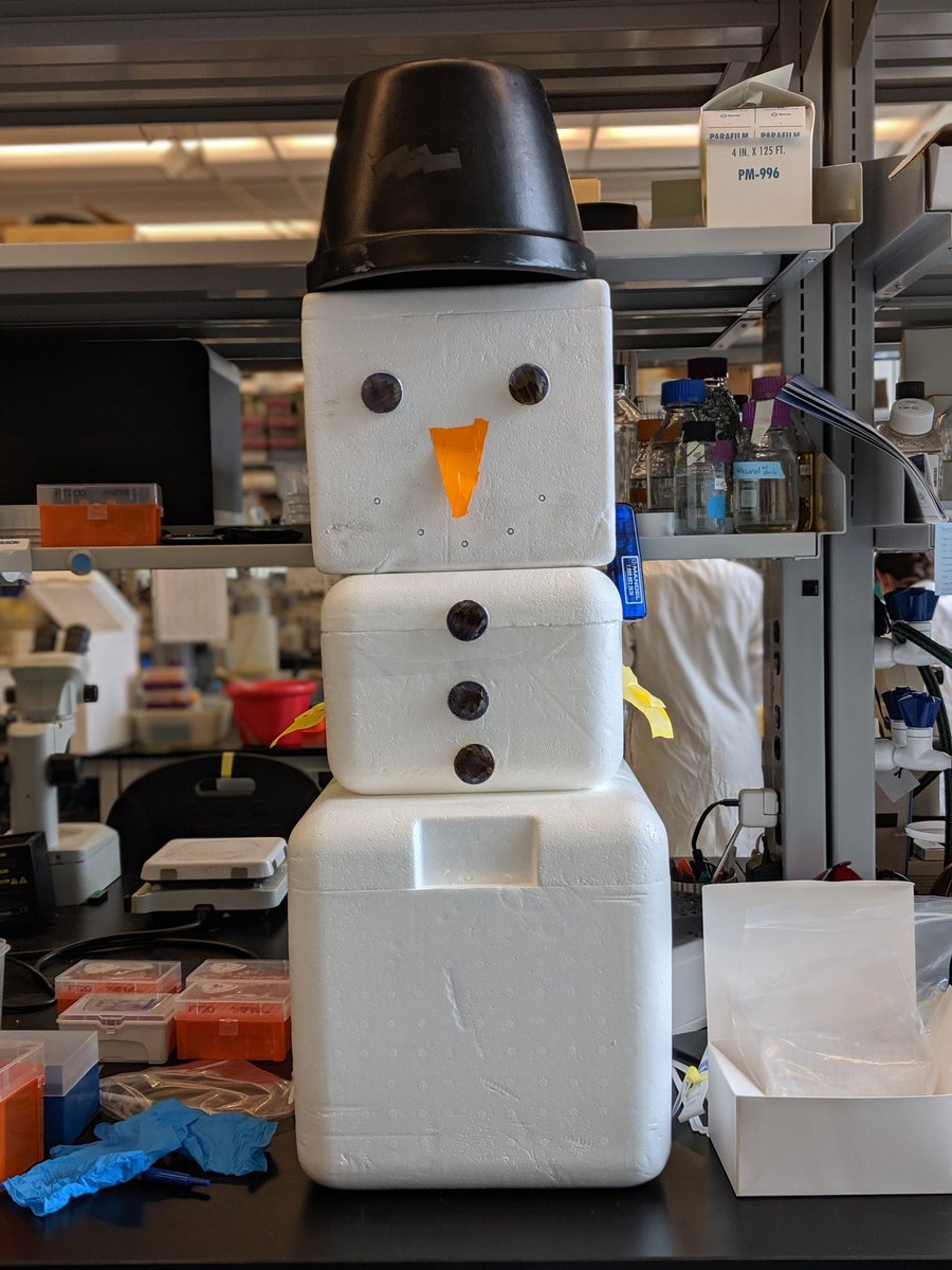 Dr. Julie Claycomb (@farmgirlphd) on Twitter photo This is what happens in the <a href="/Claycomb_Lab/">ClaycombLabUT</a> when the PI leaves her bench for the week leading up to #Worm19. 😂 This is what happens in the <a href="/Claycomb_Lab/">ClaycombLabUT</a> when the PI leaves her bench for the week leading up to #Worm19. 😂