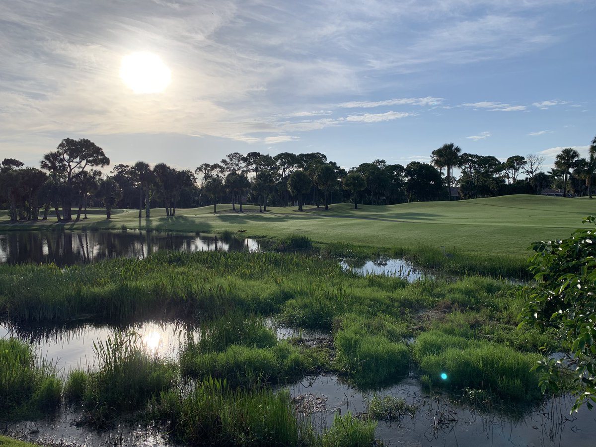 PoolPalm's tweet image. 