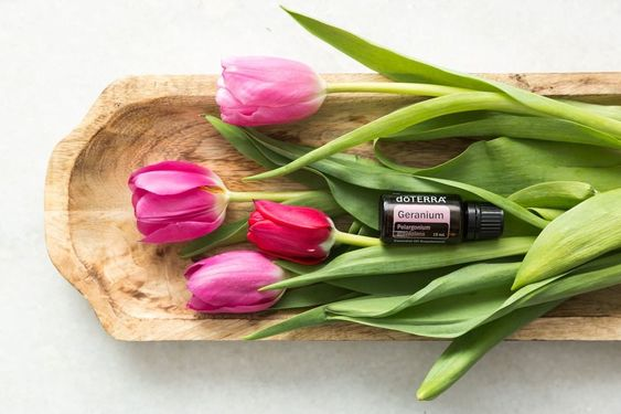 OilsByStephanie's tweet photo. Geranium may help to maintain the general health of a variety of organs and organ systems.*

*These statements have not been evaluated by the Food and Drug Administration. This product is not intended to diagnose, treat, cure, or prevent any disease. https://t.co/dxEjcUIIr0 https://t.co/7HKClJNVzw