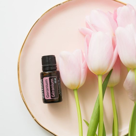 OilsByStephanie's tweet photo. Did you know Geranium contains internal cleansing properties?*

*These statements have not been evaluated by the Food and Drug Administration. This product is not intended to diagnose, treat, cure, or prevent any disease. https://t.co/dxEjcUIIr0 https://t.co/fXeGqqkxel