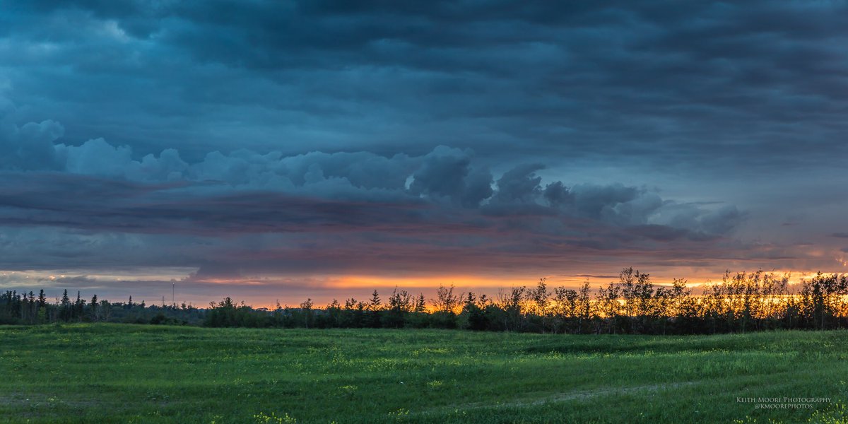 Keith Moore tweet media