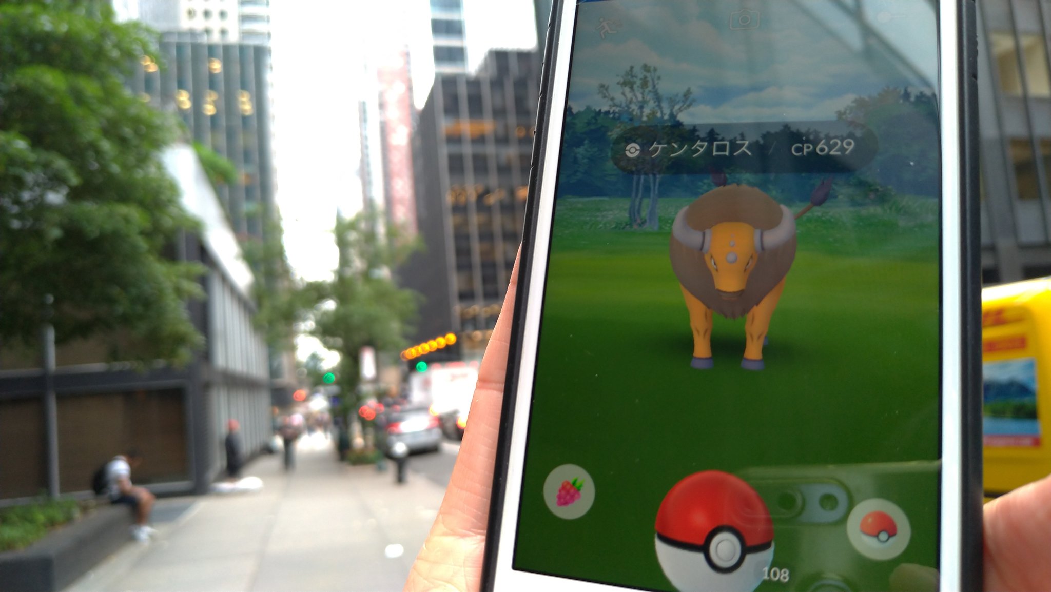 かずき Webmobile ニューヨークにケンタロスとソルロックがいる Pokemongo ポケモンgo ニューヨーク 地域限定ポケモン ミッドタウン T Co Edlypfmdnz Twitter