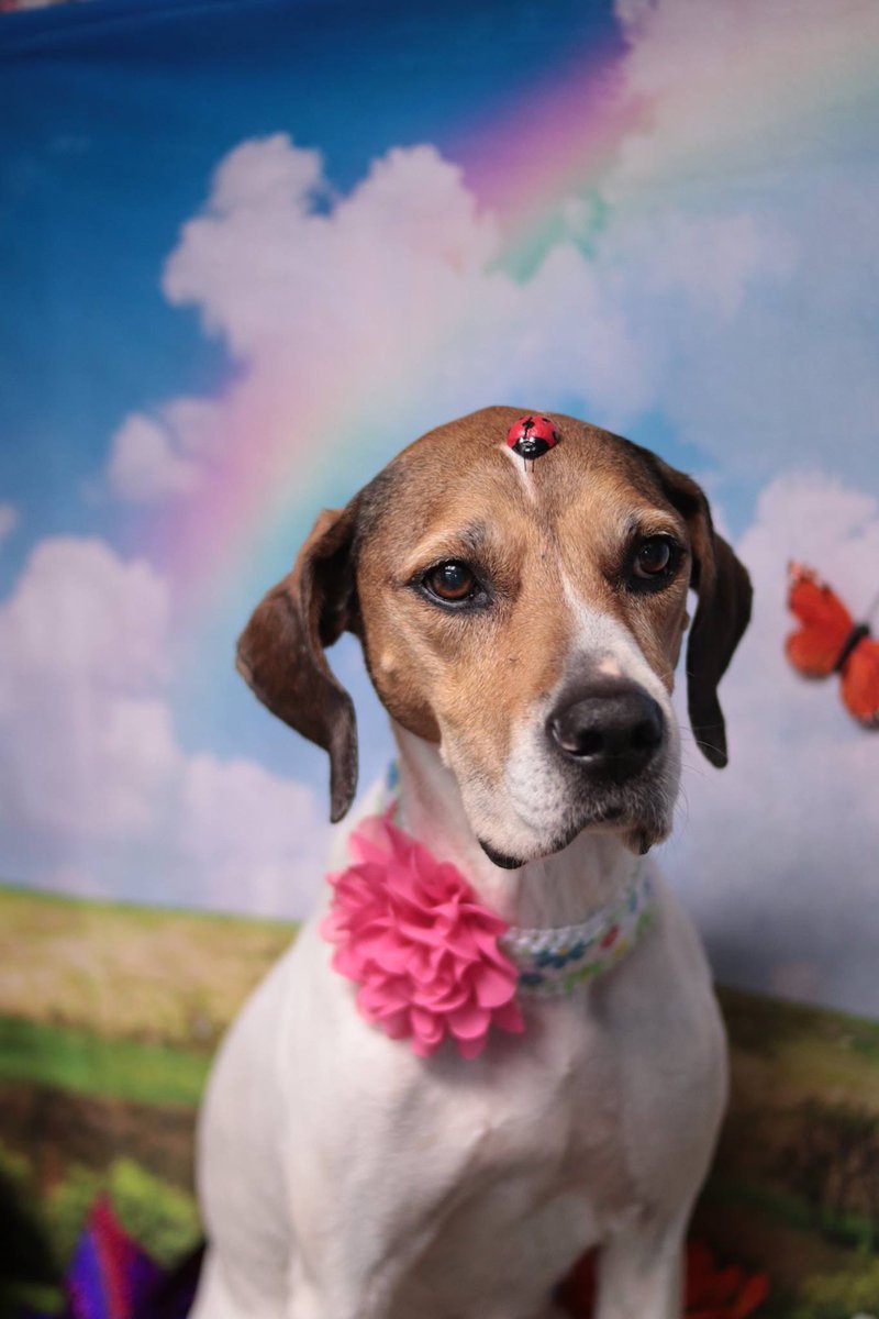 New one, from this spring