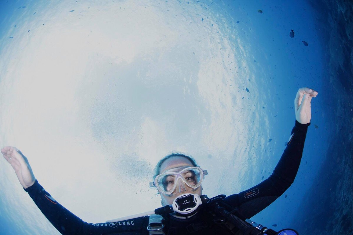 TwinIslandDive's tweet image. @kateisataylor having a great time drifting along the north coast of Nusa Penida
Photo by: @buck_taylor_

#DriftDiving #BuoyancyControl #AquaLung #WideAngle #BlueWater #TwinIslandDive #ScubaDiving
