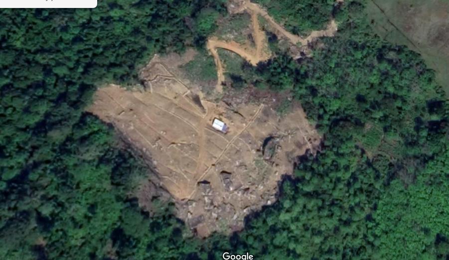RainforestSL's tweet photo. Rainforest Protectors Chronicle – May/June 2019 https://t.co/Vb0EsQ6GKd https://t.co/M3edNZw7lN