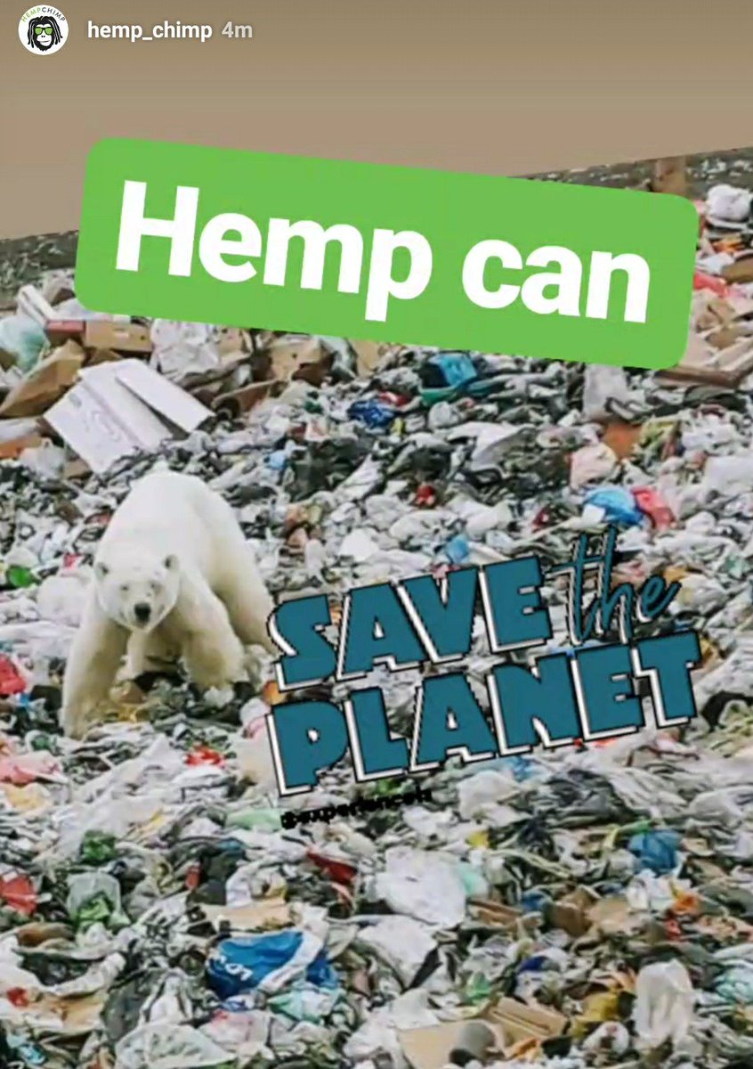 Hempchimp1's tweet photo. With the production of hemp fiber and hemp Plastics we can save our planet. Hemp is not a singular purpose plant. growing hemp rejuvenates the soil while its products are  biodegradable and leaves no harmful chemicals in the process! #hempchimpway #hemp #save #lovetheplant https://t.co/e180n23ro3
