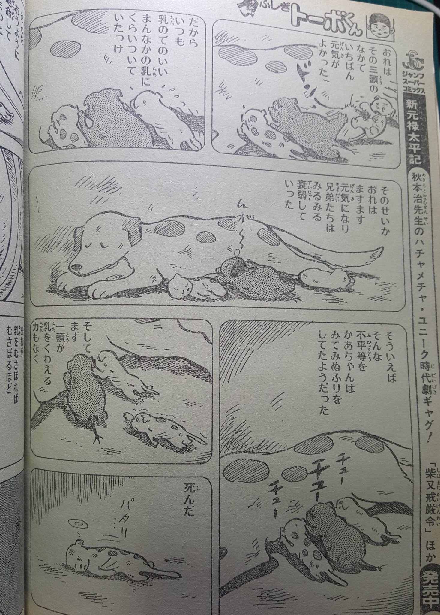 おてんばベッキー ふしぎトーボくん 読むわん おてんばベッキー ふしぎトーボくん 読むわん