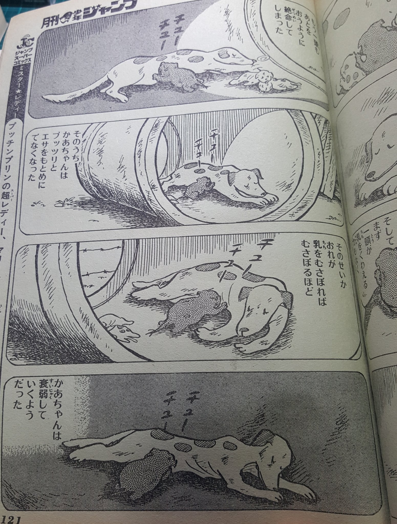 おてんばベッキー ふしぎトーボくん 読むわん おてんばベッキー ふしぎトーボくん 読むわん