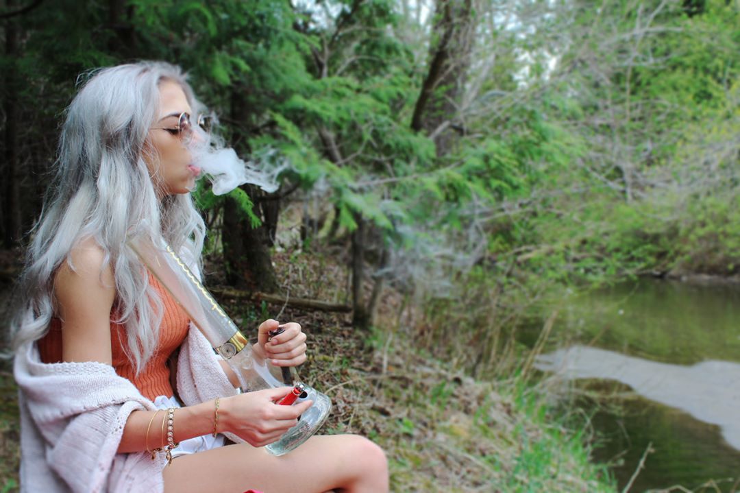 WeedLex tweet media
