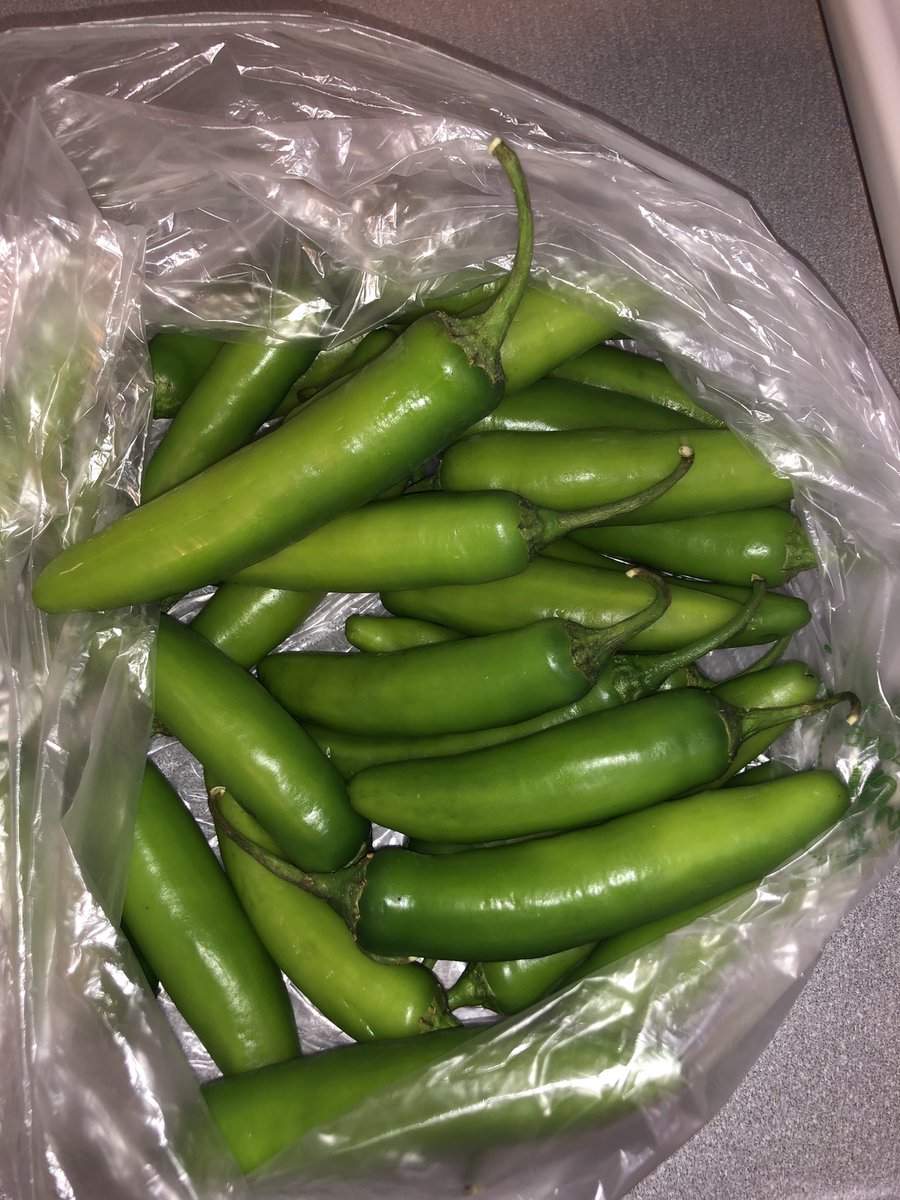 BDrew18's tweet photo. UPDATE: Spicy, reeeeeaaaally spicy, pilgrims.🔥#PoorNeighbors https://t.co/AFm4IUsazn