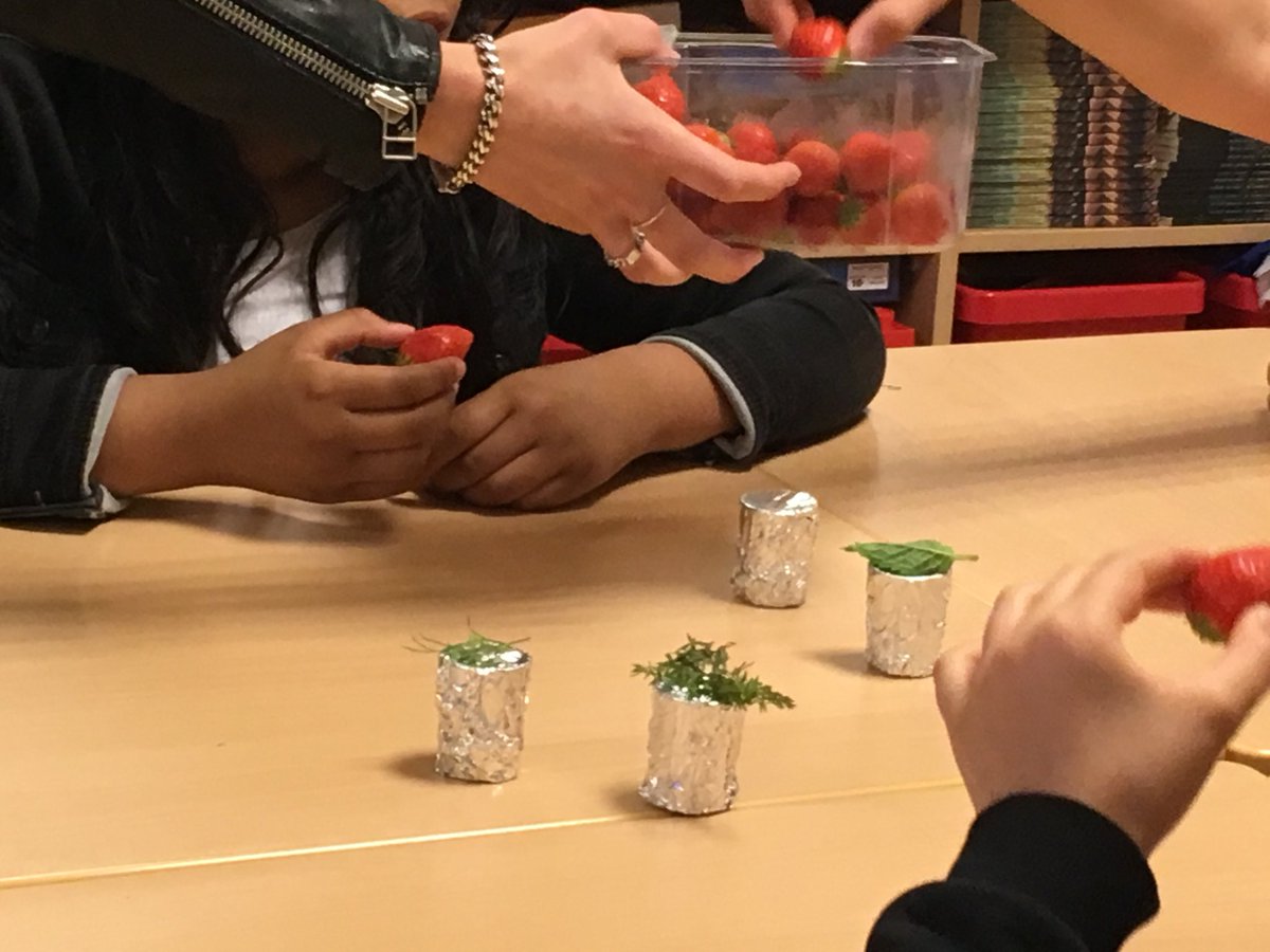 lier_joline's tweet photo. Gister een #smaakles bijgewoond #basisschool #mrgbekkersschool in #voorhof ⁦@GemeenteDelft⁩ School op weg naar een ⁦@GezondeSchoolNL⁩ draagt bij aan ⁦@JOGGNL⁩ ⁦@JoggDelft⁩ https://t.co/kymaSzTIw7