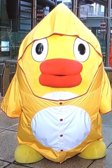 東裏友希 Sur Twitter ぱっつんぱっつんのカッパ着たそらジロー くもジロー ぽつリンがコンプリート出来たのでいい事あるかな
