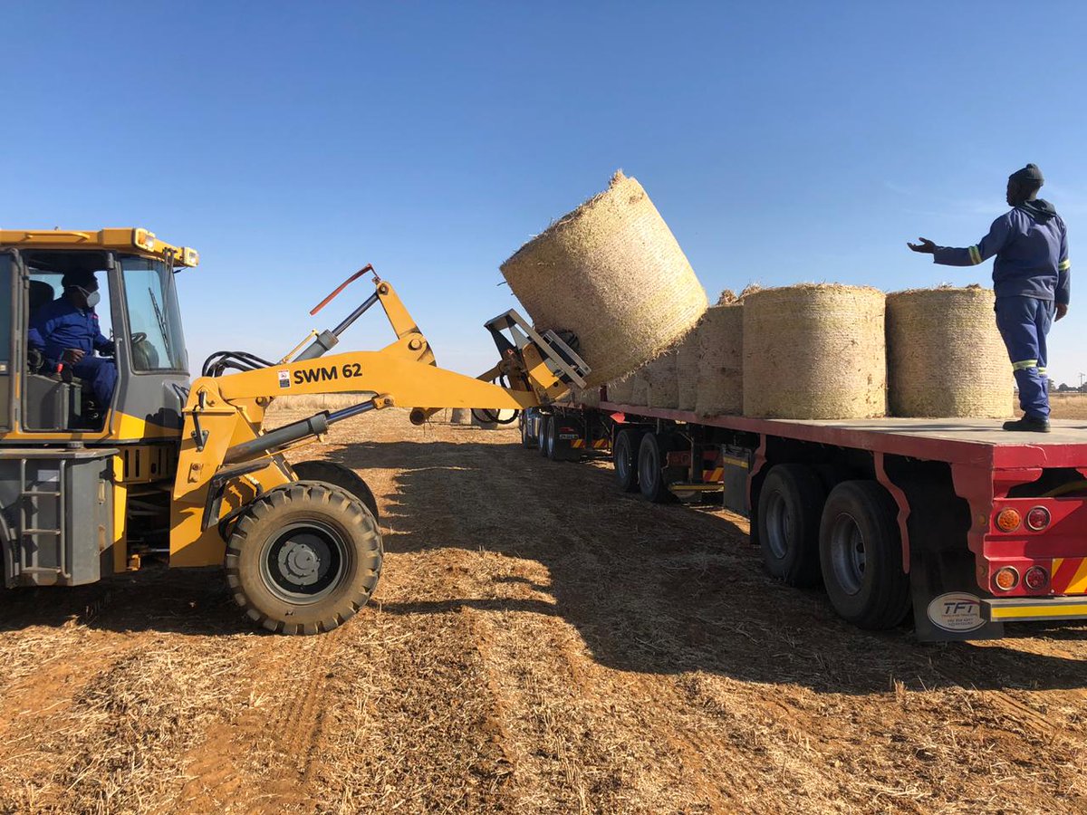 boere_in's tweet photo. @Klankkoerant 
@Netwerk24 

Vrag viet wird naby Schweizer  Reinke gelaai. Baie dankie Riaan Van Wyk  . Vrag oppad na noord van Hotazel  .Boere betaal vir vervoer kostes  . Veulig ry Riaan. https://t.co/7DlG0yDQao