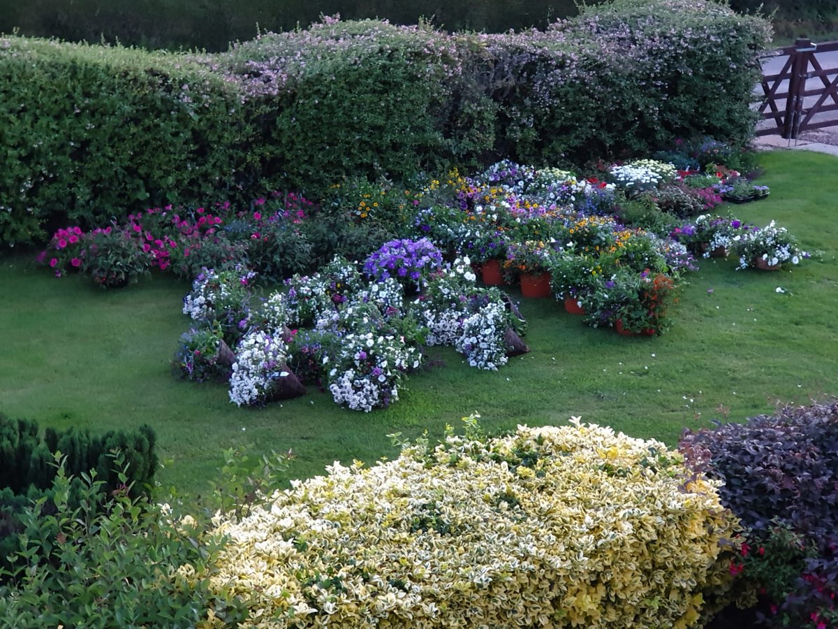 Mandy Swift tweet media