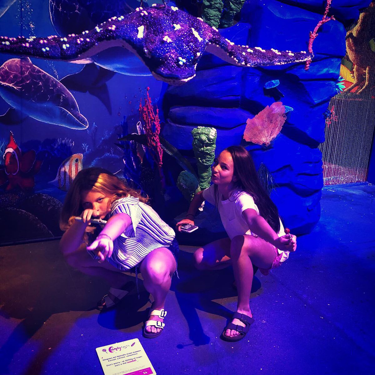 SavannahElle's tweet photo. @thecandytopia #candytopiaatl #iwantcandy #birthdaygirl #creeper #photobomber https://t.co/zdc9lZlxt8