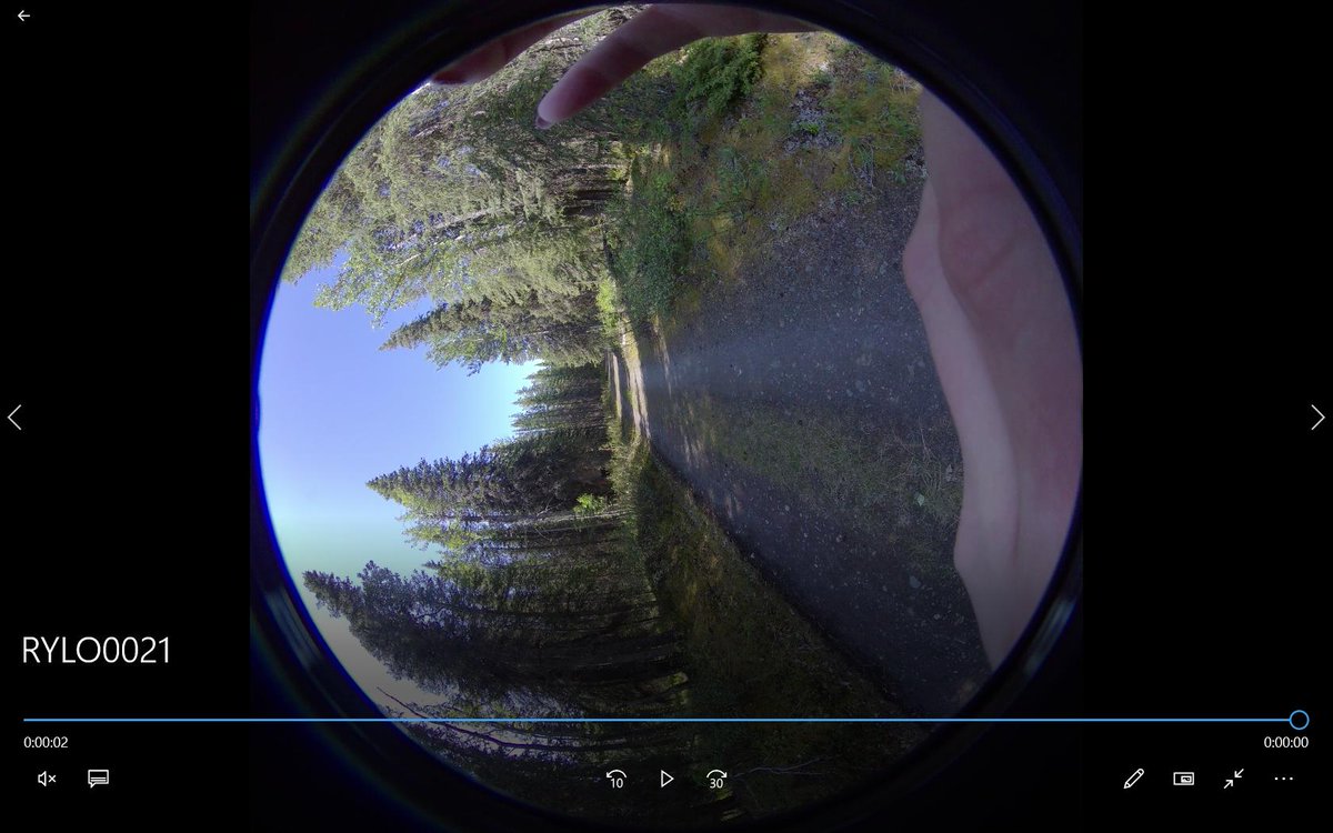 Shiloh Morrison tweet media