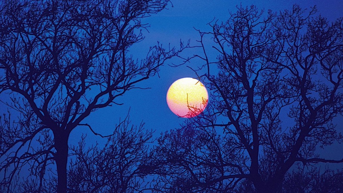 полнолуние. девушка-луна. яркая луна возвращается домой. однажды лунной ночью. яркая луна возвращается домой.