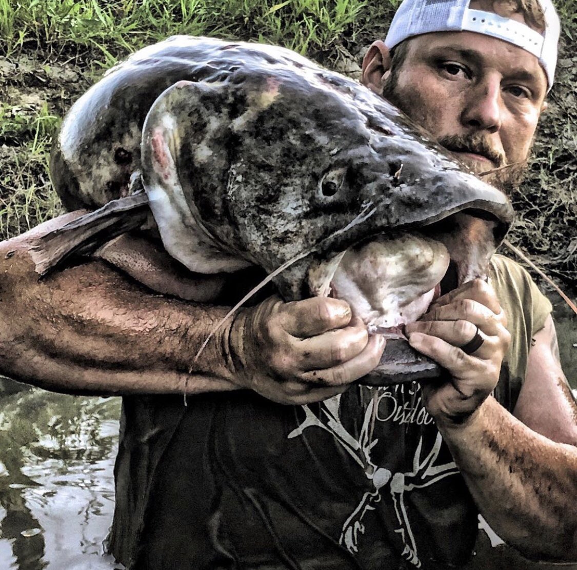 A little noodling action