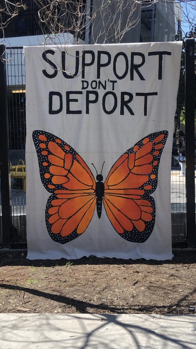jackiedrosa's tweet photo. SUPPORT DON’T DEPORT  🗣 https://t.co/neWkHTeeS7