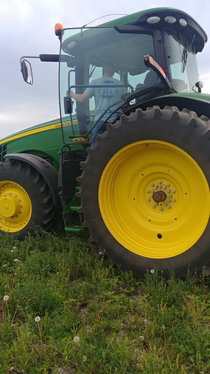 Lindsey Berg tweet media