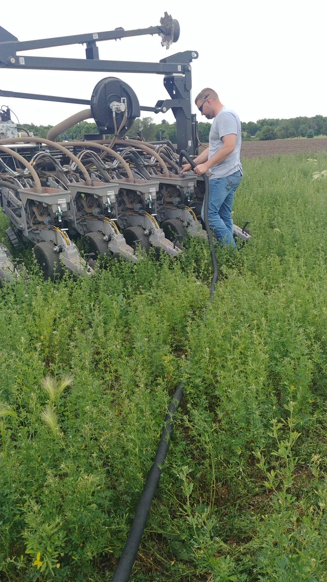 Lindsey Berg tweet media