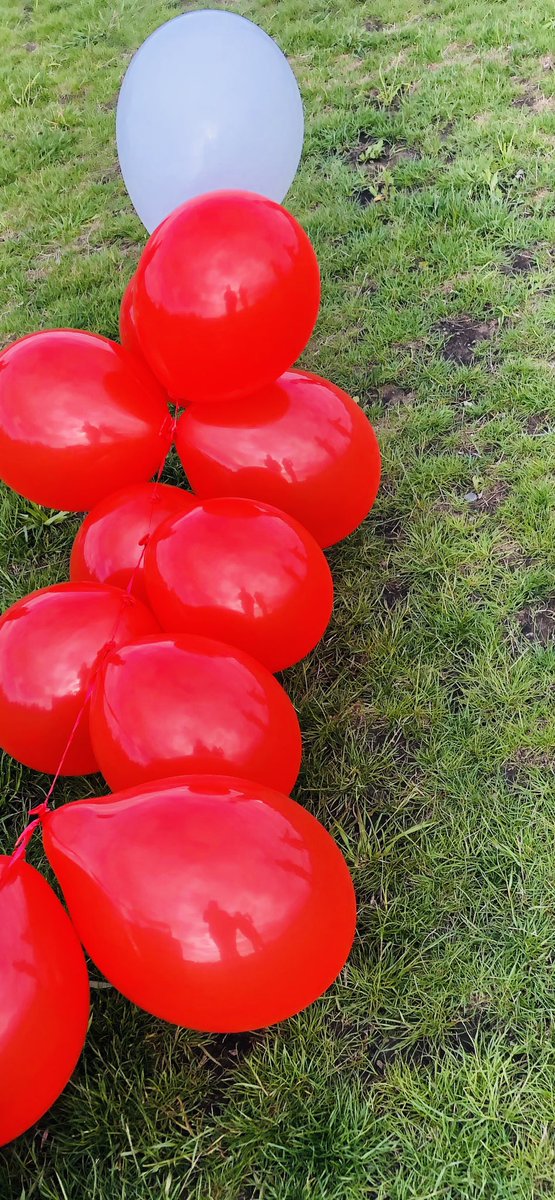 scdaainfo's tweet image. We Did it despite the wind and rain! Happy Sickle Cell Awareness Day! #SickleCellAwarenessDay #sicklecellwarrior #sicklecellawareness365 @sicklecellca @SickleCellON