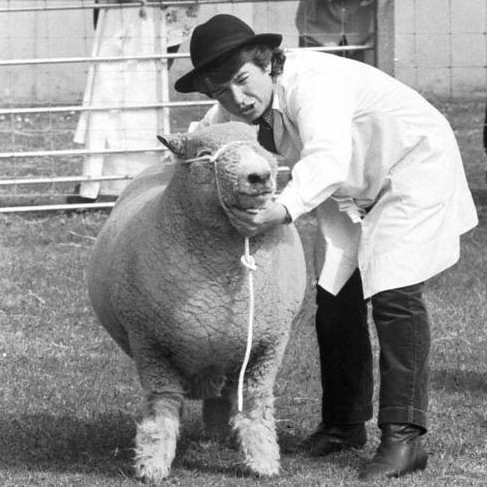 To celebrate the Royal #HighlandShow kick-off we'e bringing this fine specimen out of the #archives - a Ryedale sheep under consideration at the show in 1989 @ScotlandRHShow.