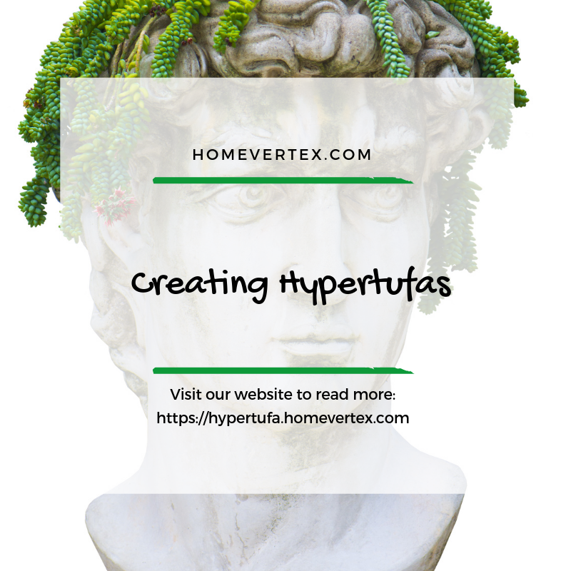 homevertex's tweet photo. Creating Hypertufas

Visit our website to read more info on creating hypertufas:
https://t.co/84AK053XTf

#homevertex #hypertufa #creatinghypertufas https://t.co/jJ5liPsUMY