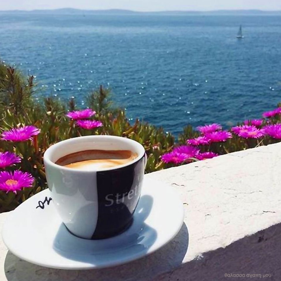 Να χαμογελάτε, υπάρχουν άνθρωποι που ζουν και αναπνέουν για το χαμόγελό σας....😊

Καλημέρα, όμορφη συνέχεια σε όλες και όλους.....❤️❤️❤️

Καφέ και ξεκινάμε.....☕️☀️🌊💞🔱💯🇬🇷🇪🇺