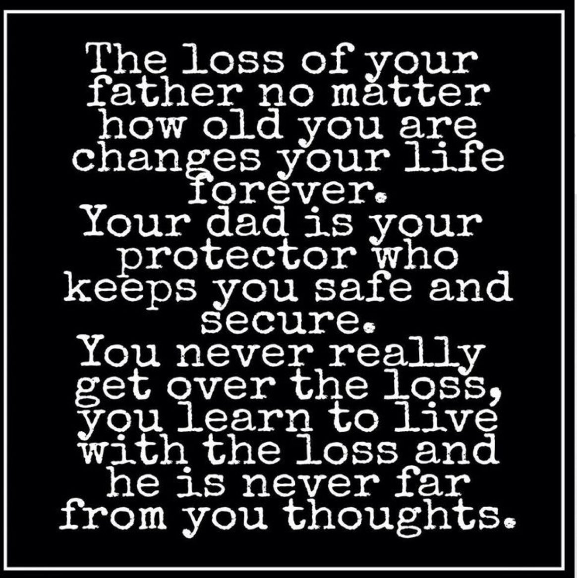 bradivnh's tweet image. 