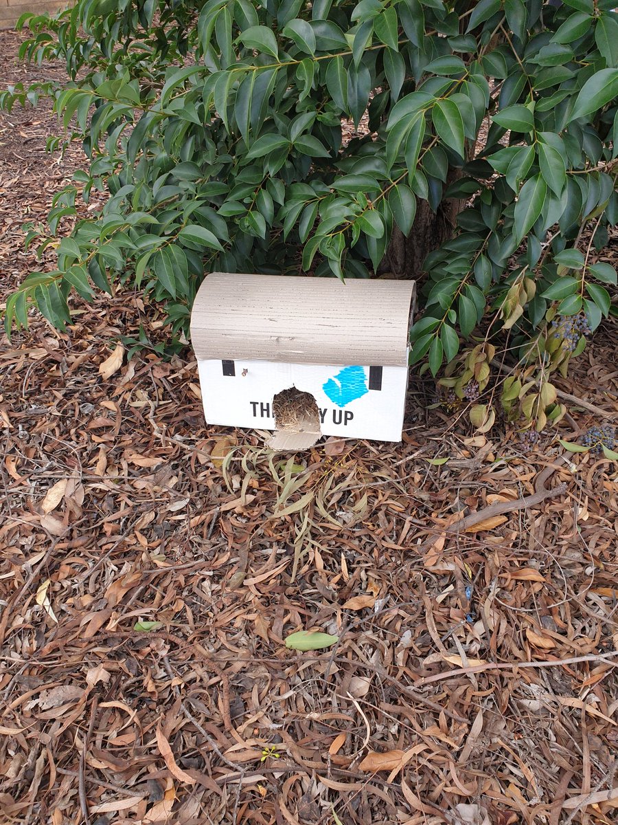 MelissaRocela's tweet photo. Day 39 - Giving to birds
#50daysofgiving
Ss made bird houses/feeders using recycled materials. We enjoyed watching birds eating just outside our window! π https://t.co/EmDEltLSGi