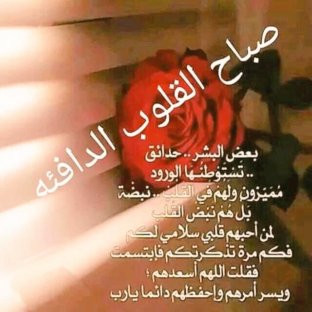Abdhsalh11's tweet photo. @AlmadiLatifa أسعد الله صباااحك وقلبك بكل خير وبركة ورضا وعافية وسرور بإذن الله https://t.co/3BdL3R6wFz